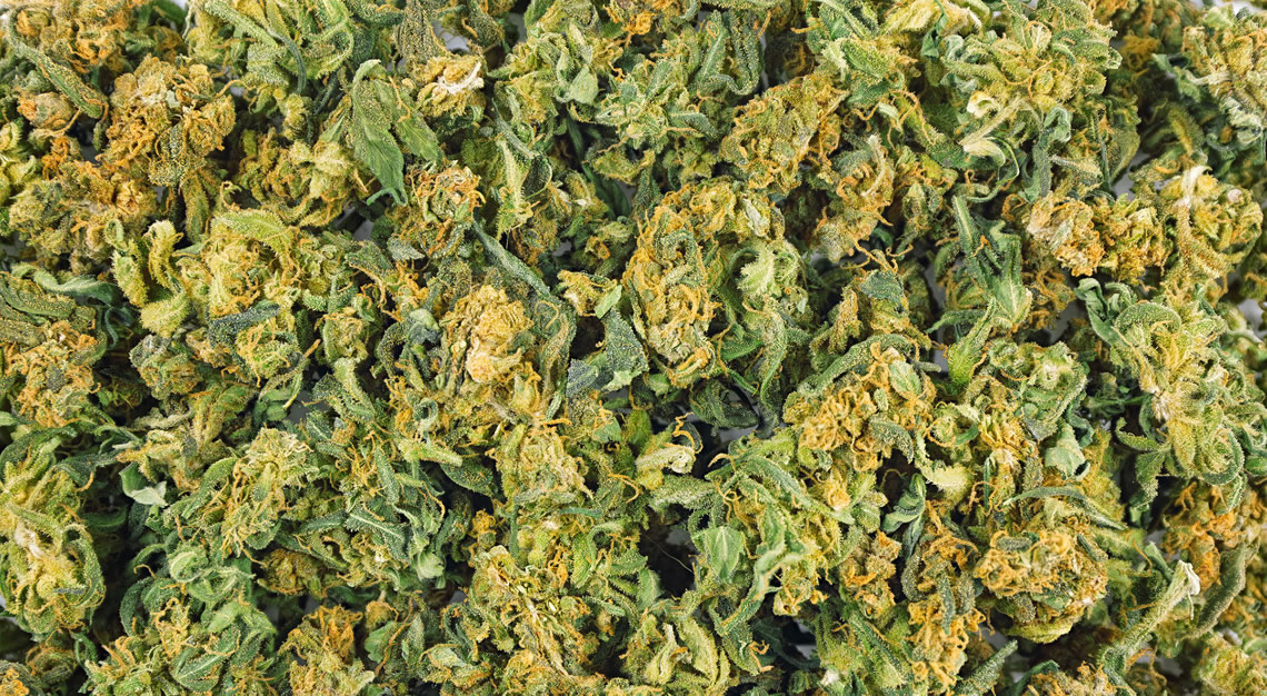 marijuana in Arizona